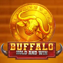 Buffalo Hold and Win